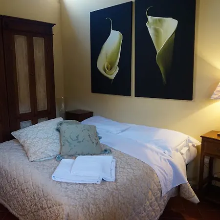 Granaio Borgo Di Colleoli Pisa
